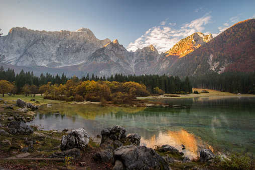 Autumn